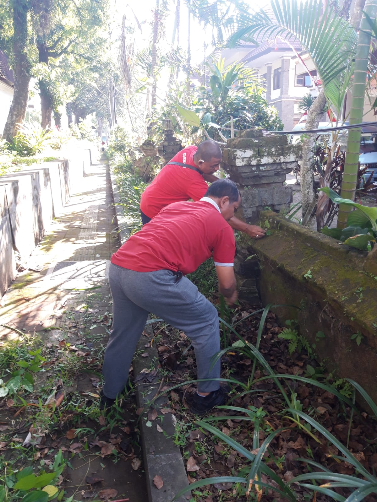 WhatsApp Image 2023-06-09 at 08.36.50