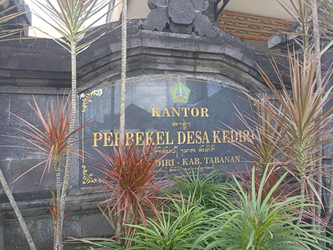 WhatsApp Image 2023-07-11 at 11.32.15 AM