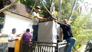 WhatsApp Image 2023-09-27 at 09.31.48