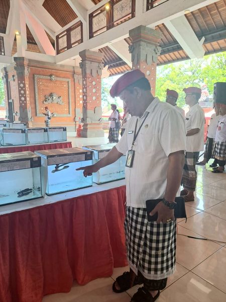 396722726_1746276772557876_925988936474865156_n